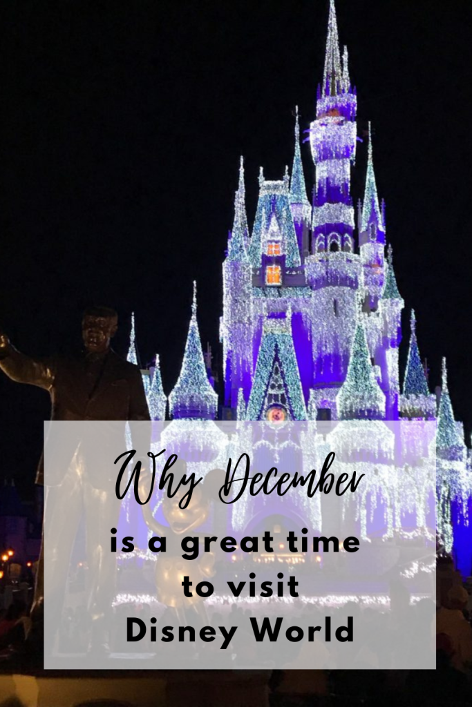 why plan your Disney world trip in December
