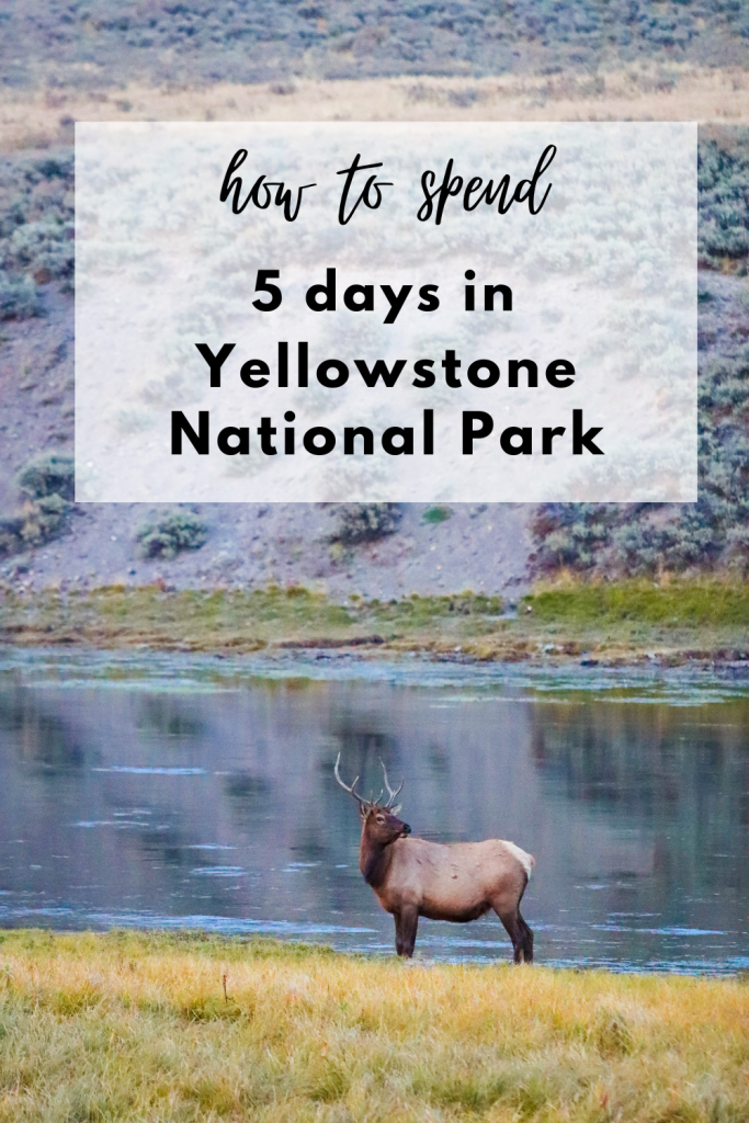 how to spend 5 days in Yellowstone 