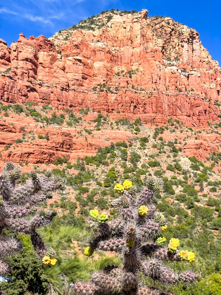 view from sedona chapel