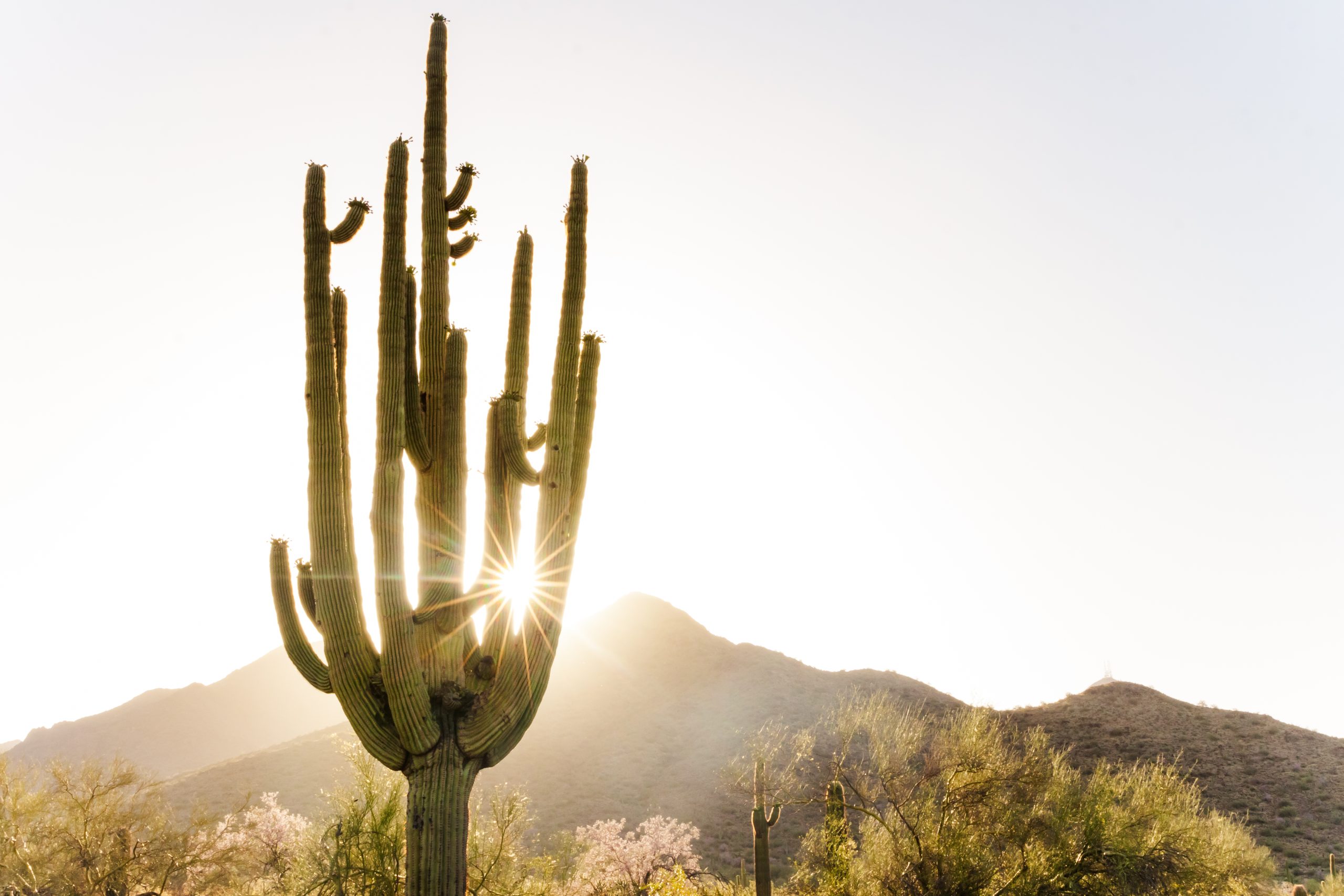 desert photography by travel photographer