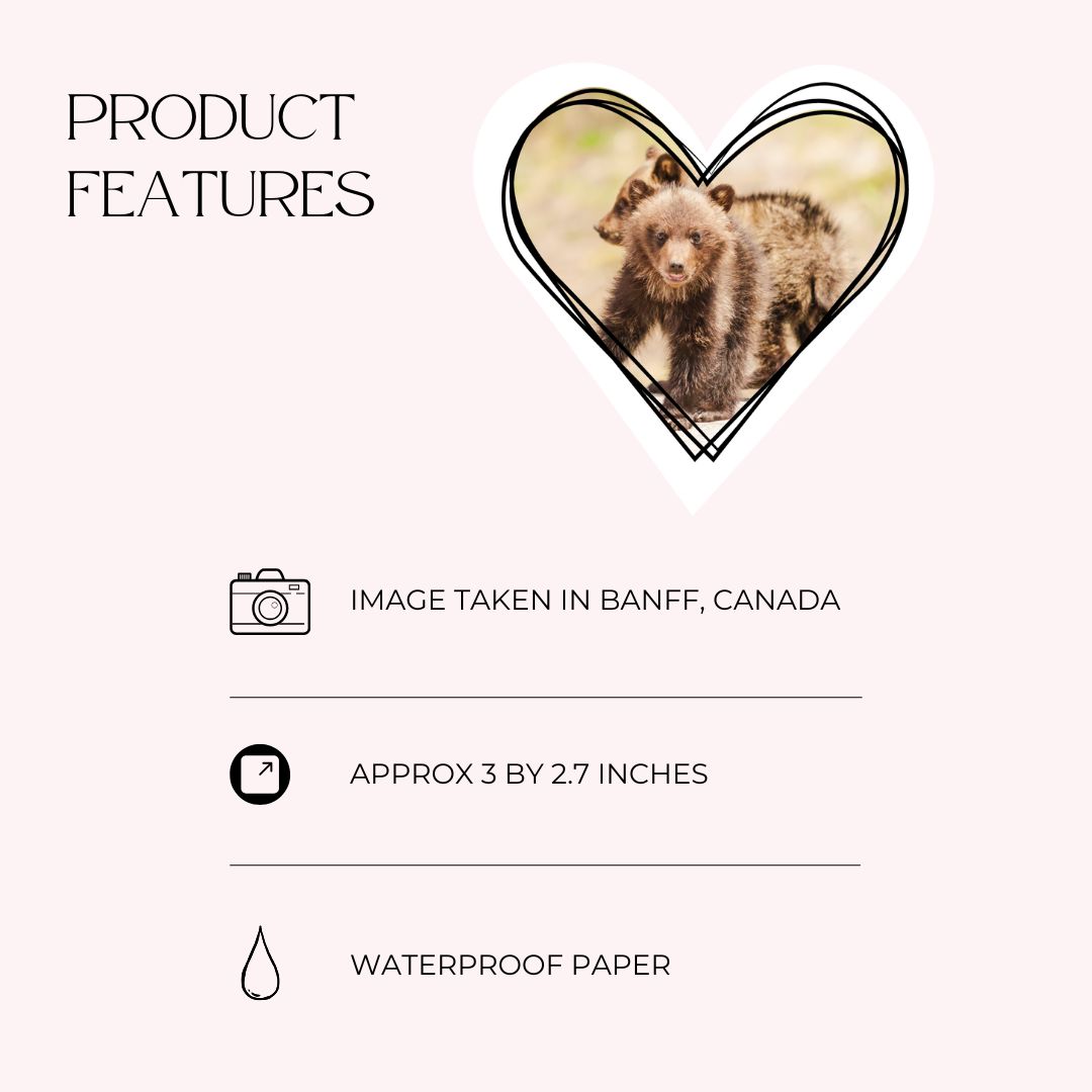 product features of photo stickers with baby bears
