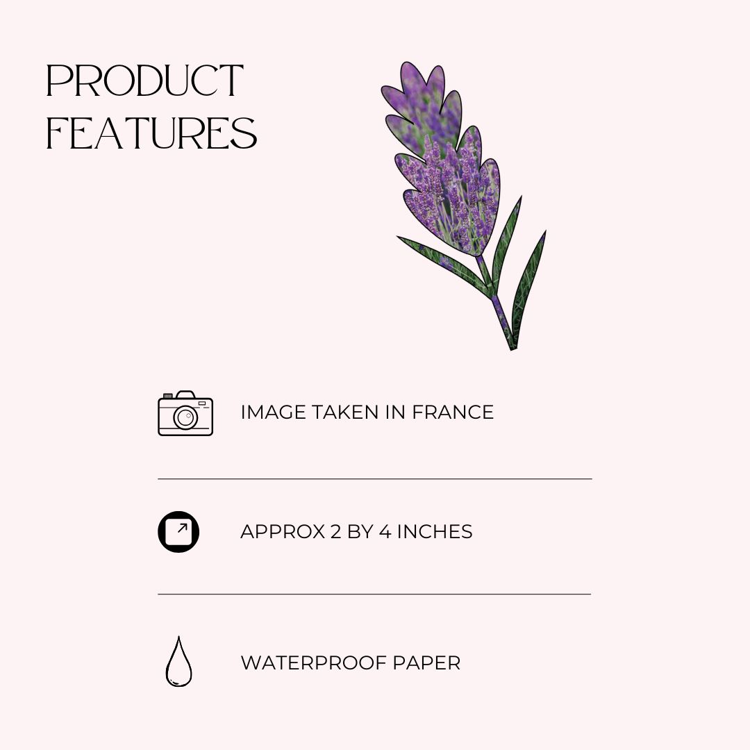 Flower Sticker with Lavender Photos from France - Image 3