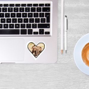 photo stickers with baby bears on laptop