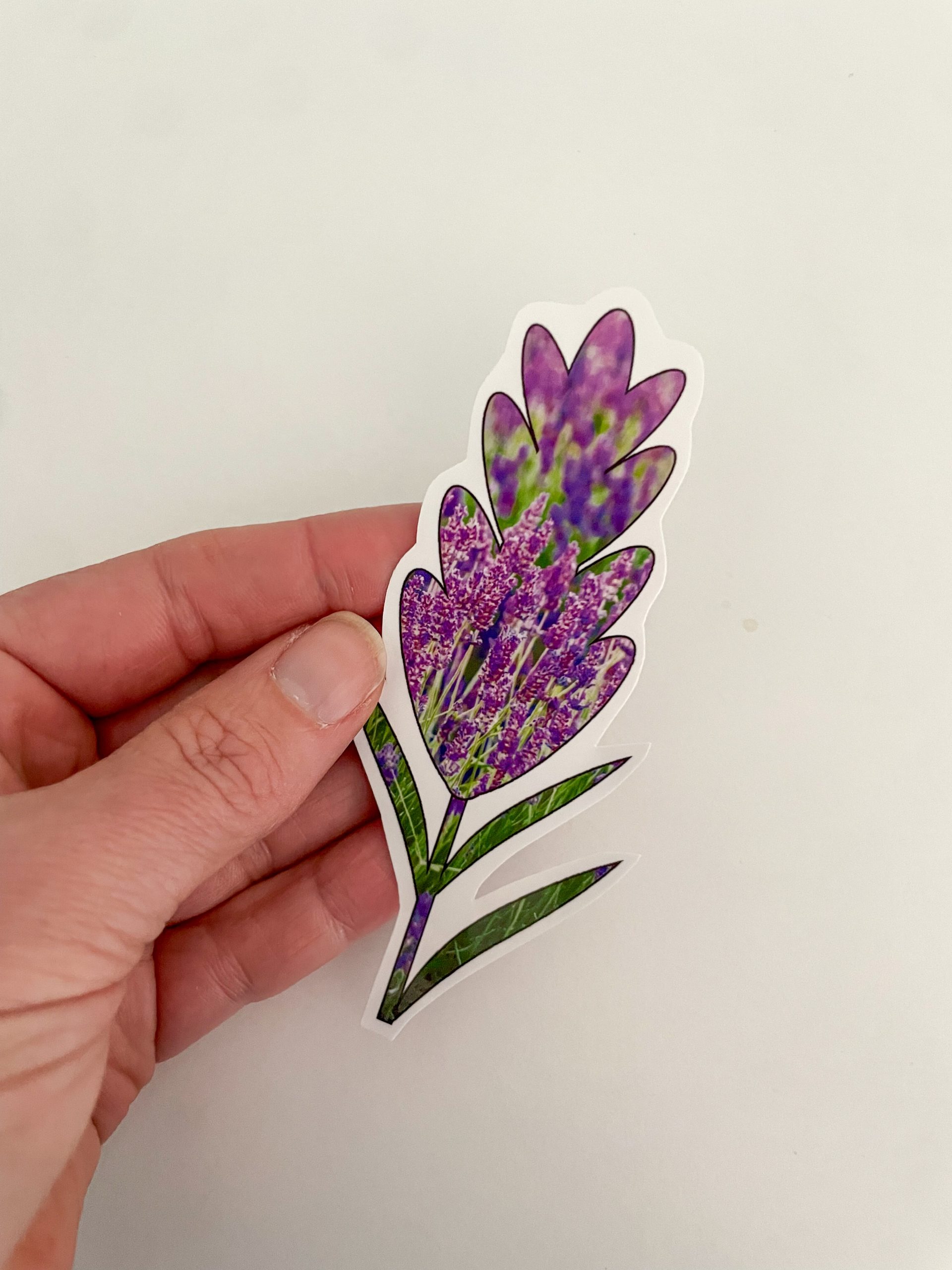 Flower Sticker with Lavender Photos from France - Image 2