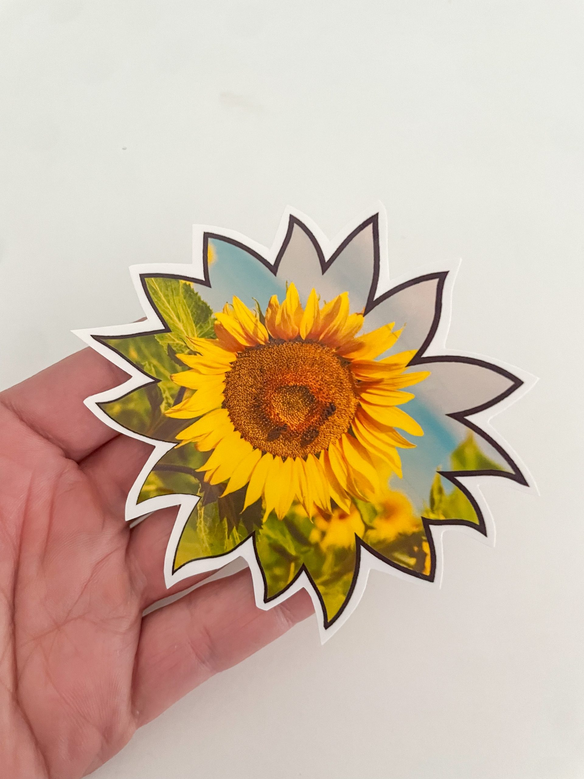 sunflower stickers on white backdrop
