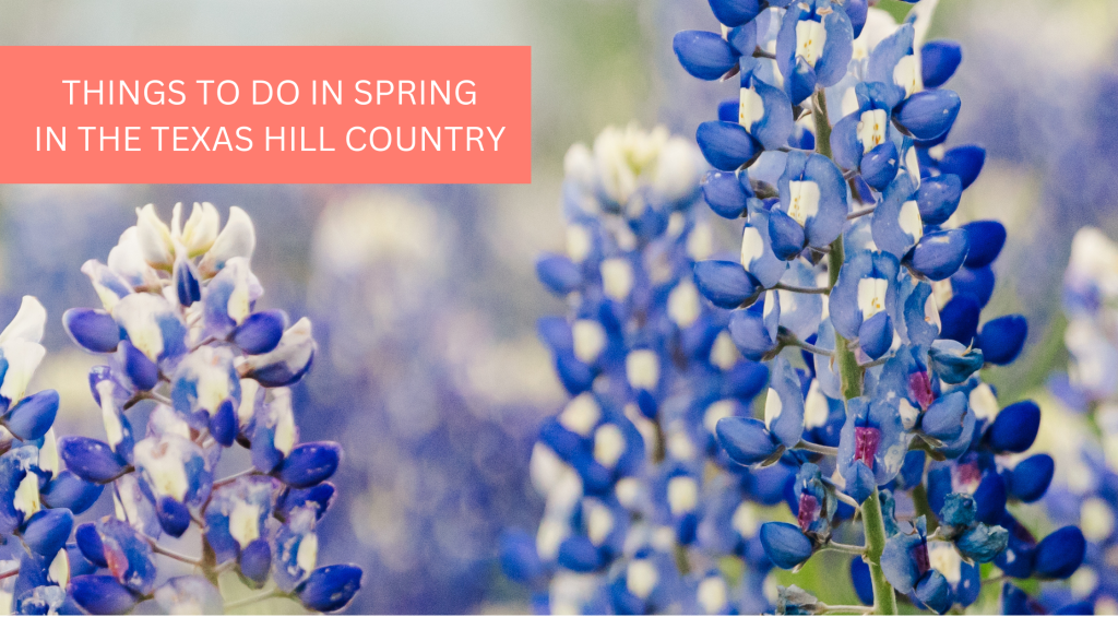 Things to do in spring