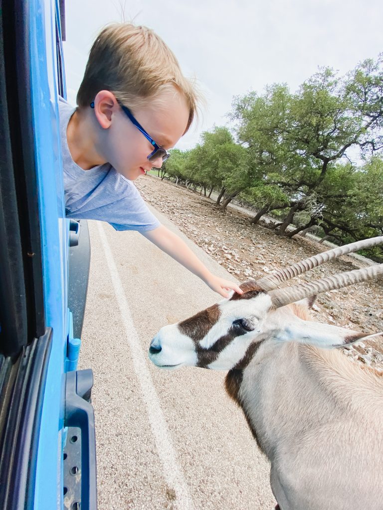 natural bridge wildlife ranch