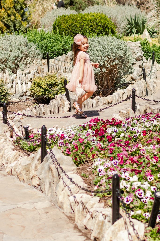 japanese tea gardens