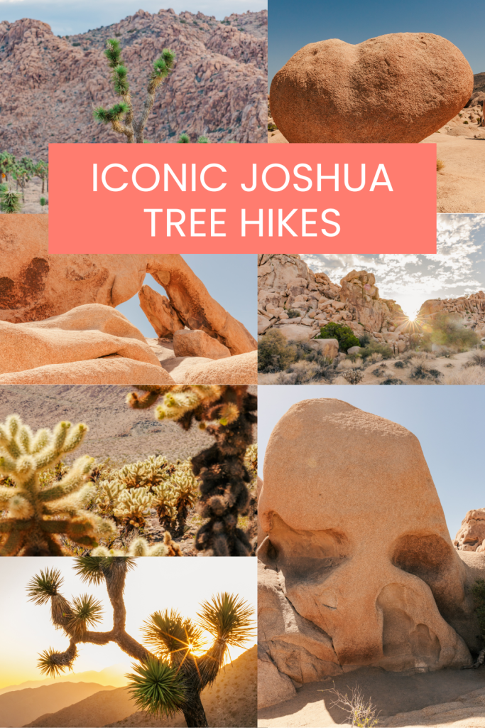 iconic Joshua Tree national park hikes