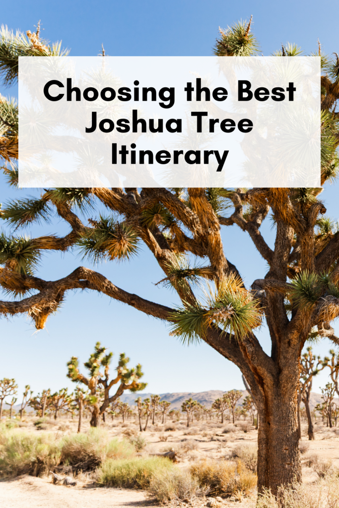 Joshua tree national park itineraries
