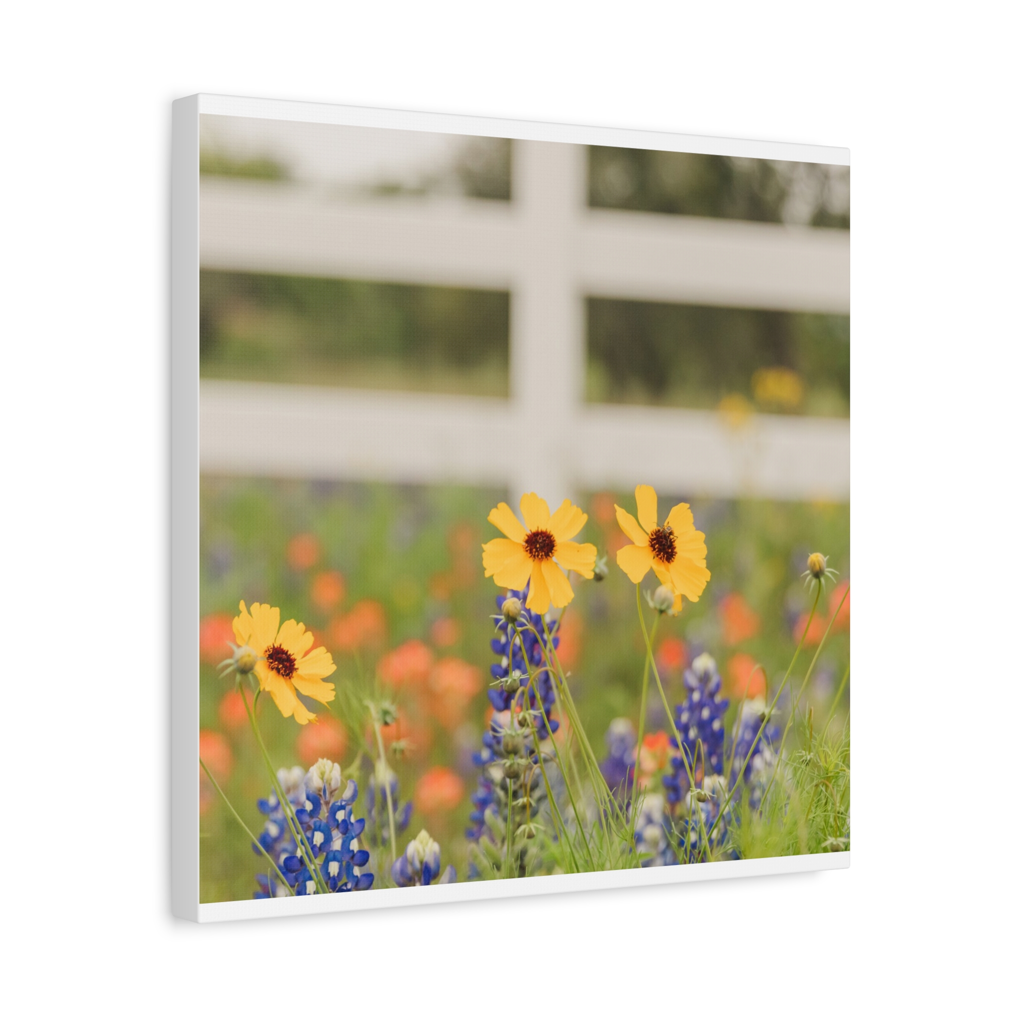 Texas Hill Country Wildflower Canvas - Image 18