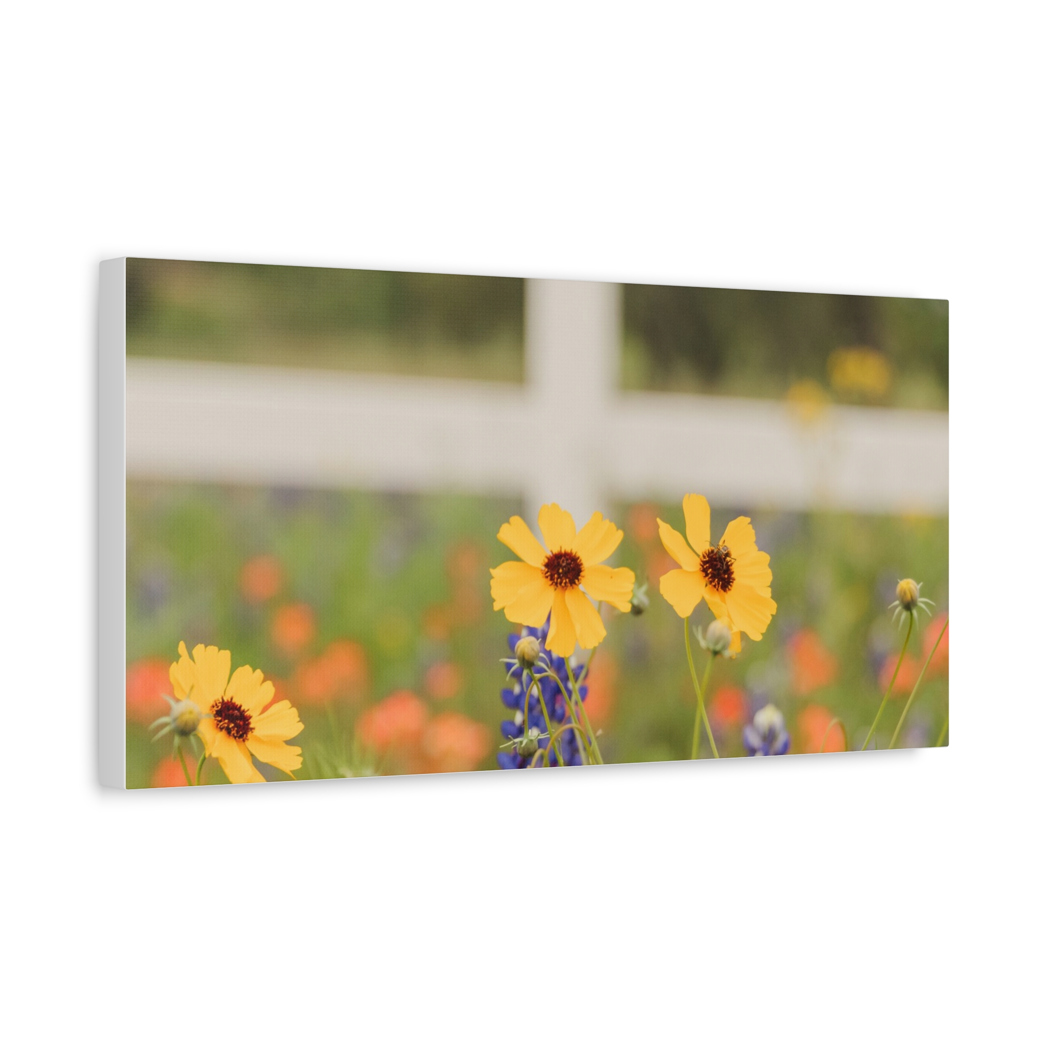 Texas Hill Country Wildflower Canvas - Image 62