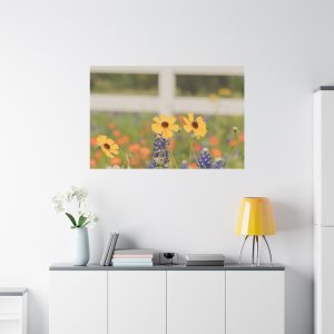 Texas Hill Country Wildflower Canvas