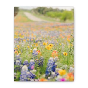 Canvas Photo of Texas Hill Country Wildflowers