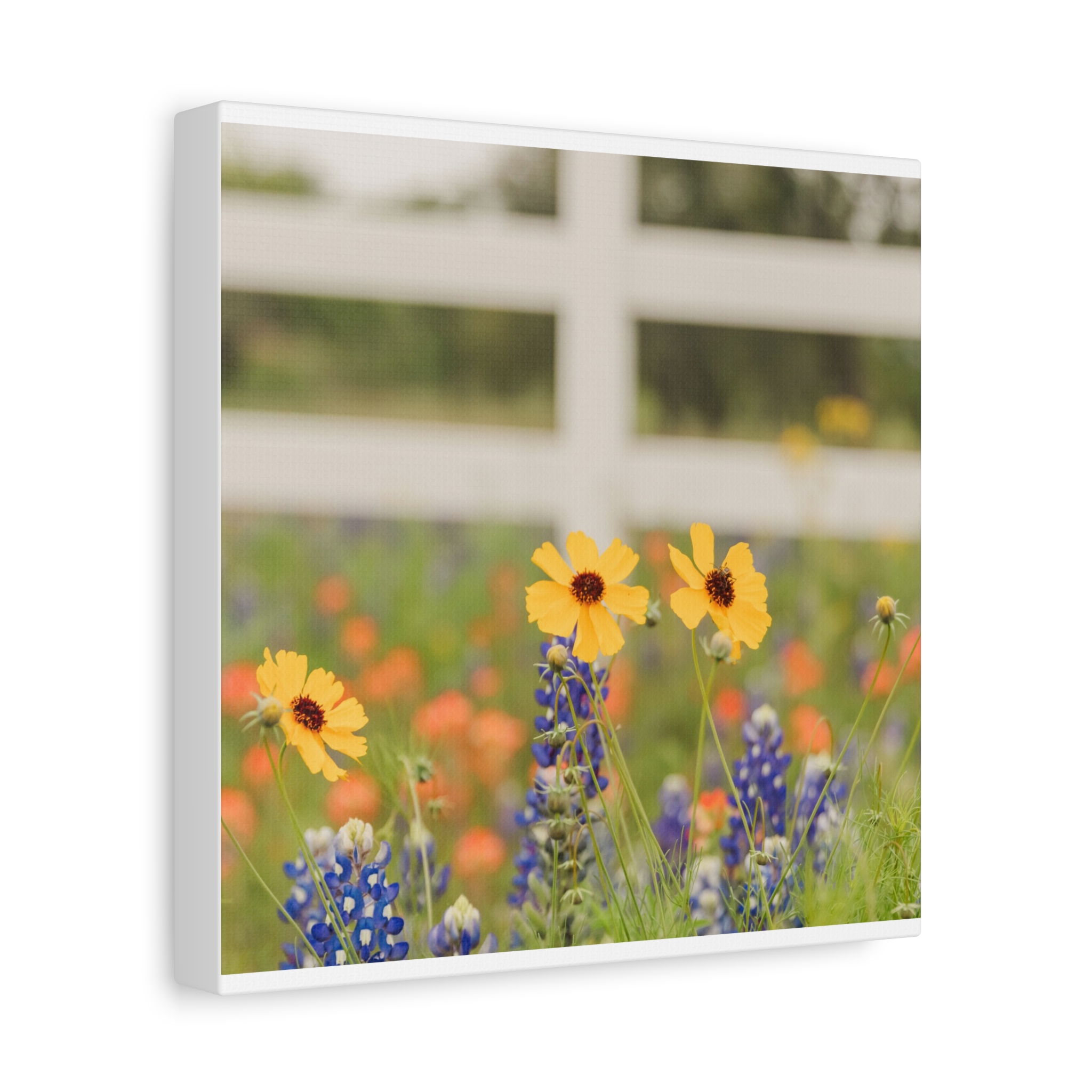 Texas Hill Country Wildflower Canvas - Image 6