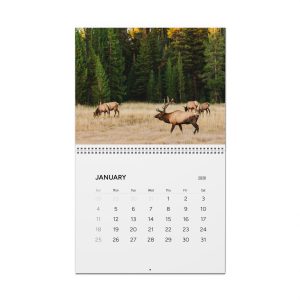 Yellowstone National Park 2026 Wall Calendar