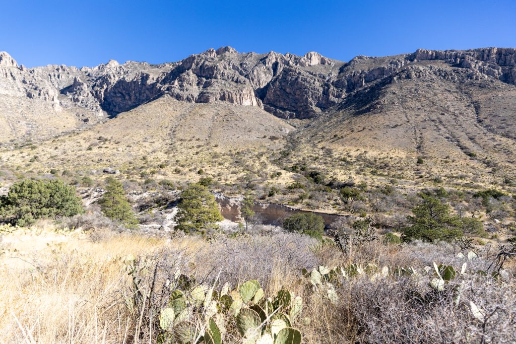 McKittrick Canyon Hike