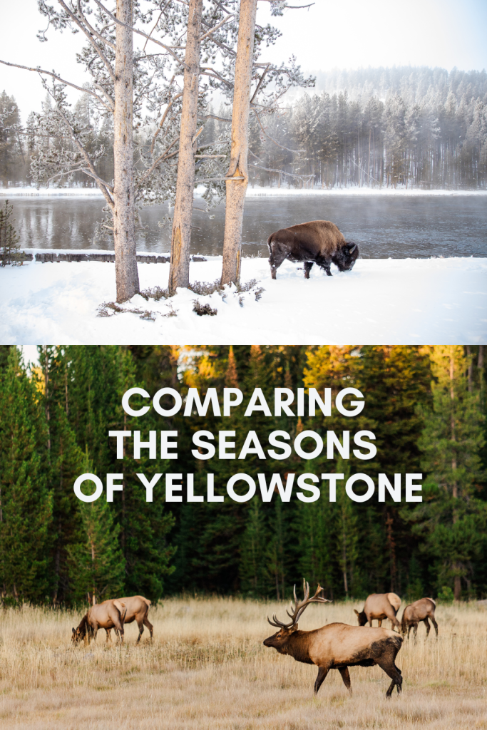comparing the seasons to visit Yellowstone