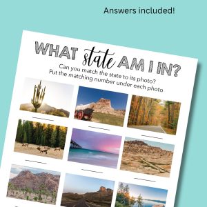 travel game what state am I in